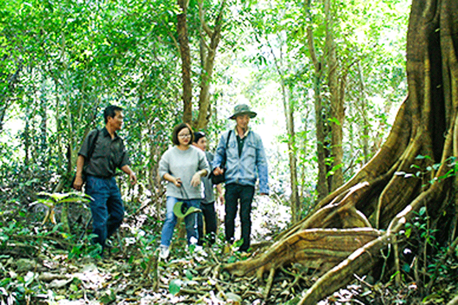 Vườn Quốc gia Chư Mom Ray (tỉnh Kon Tum). Ảnh: internet Vườn Quốc gia Chư Mom Ray (tỉnh Kon Tum). Ảnh: internet