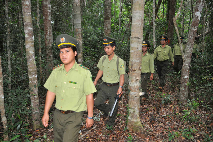 Lực lượng kiểm lâm viên tuần tra, kiểm soát rừng. Ảnh: N.M Lực lượng kiểm lâm viên tuần tra, kiểm soát rừng. Ảnh: N.M