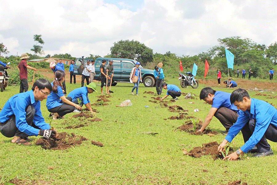 Đoàn viên thanh niên tham gia trồng cây tại xã Gào (TP. Pleiku). Ảnh: P.L