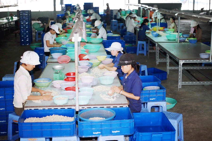 Các doanh nghiệp phải cung cấp thông tin về nhu cầu sử dụng lao động. Ảnh: T.N