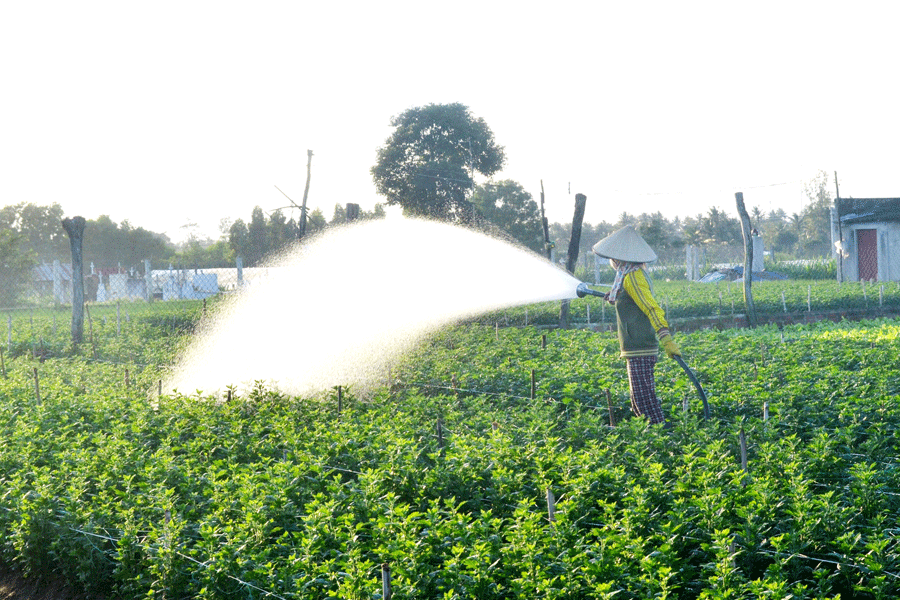 Ảnh minh họa (nguồn internet)