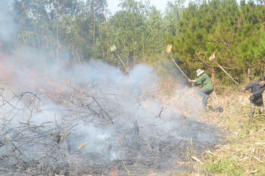 Lực lượng chức năng huyện Chư Prông diễn tập chữa cháy rừng. Ảnh: L.N Lực lượng chức năng huyện Chư Prông diễn tập chữa cháy rừng. Ảnh: L.N
