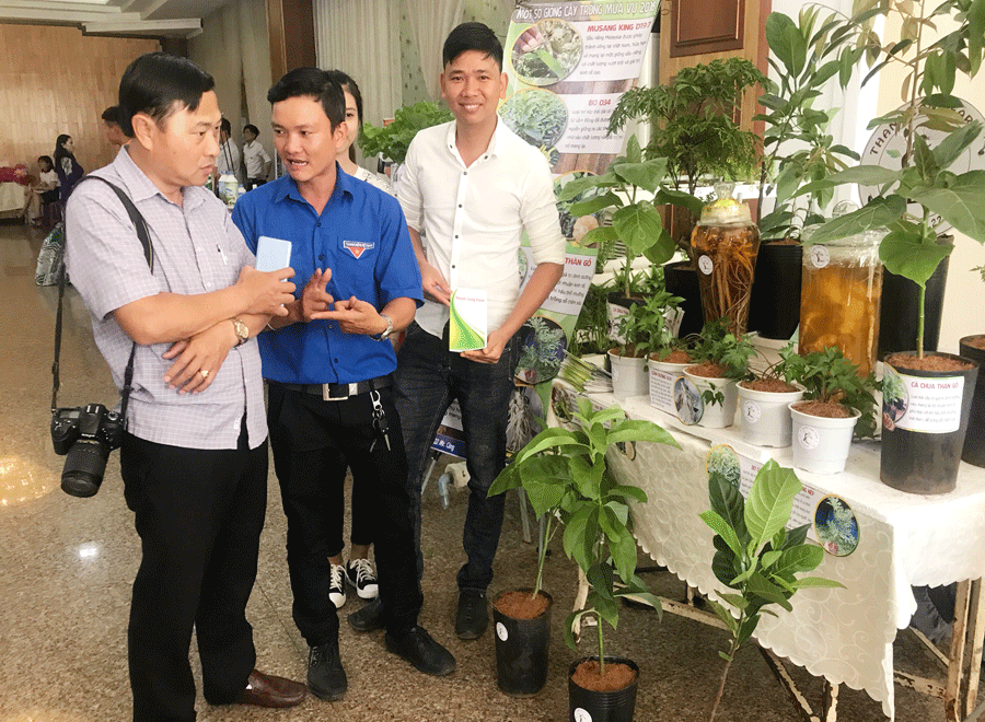 Gian hàng cây giống của anh Nguyễn Thành Công tại buổi ra mắt Câu lạc bộ Khởi nghiệp nông nghiệp Gia Lai. Ảnh: H.D Gian hàng cây giống của anh Nguyễn Thành Công tại buổi ra mắt Câu lạc bộ Khởi nghiệp nông nghiệp Gia Lai. Ảnh: H.D