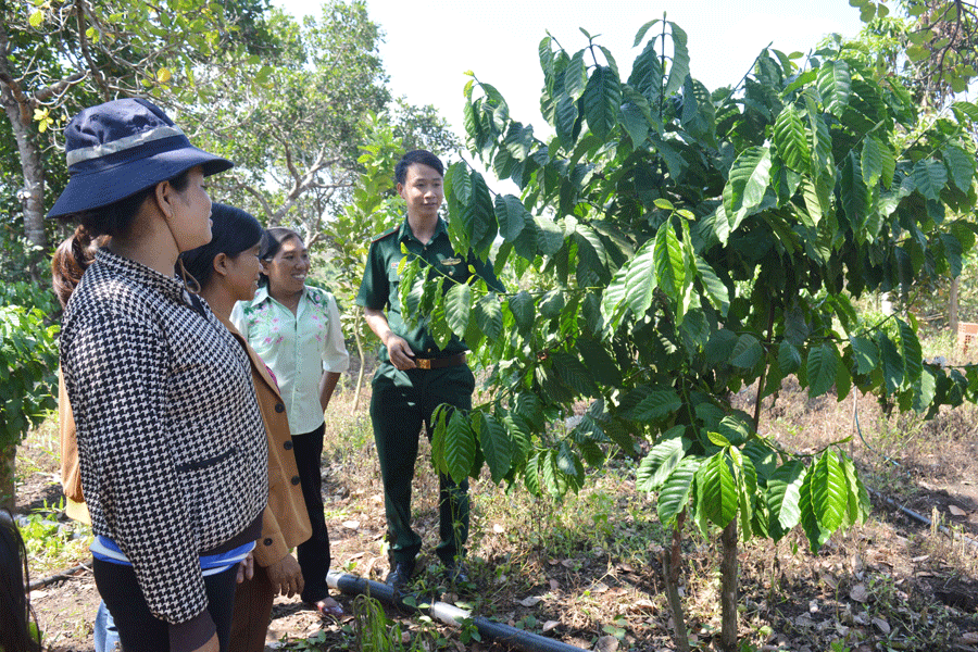 Cán bộ Đồn Biên phòng Ia Púch hướng dẫn hội viên phụ nữ cách chăm sóc cà phê. Ảnh: P.D Cán bộ Đồn Biên phòng Ia Púch hướng dẫn hội viên phụ nữ cách chăm sóc cà phê. Ảnh: P.D