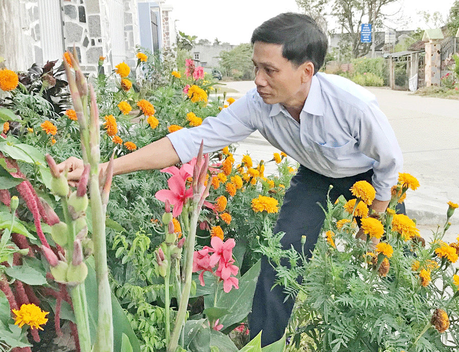 Ông Phạm Hữu Trung chăm sóc vườn hoa. Ảnh: P.L Ông Phạm Hữu Trung chăm sóc vườn hoa. Ảnh: P.L