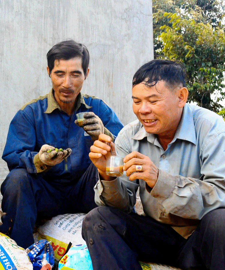 Những người nông dân tranh thủ uống cà phê lúc nghỉ giải lao. Ảnh: D.Y.T