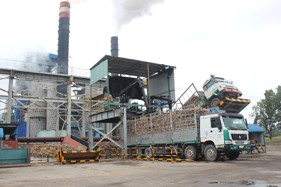 Công suất ép của TTC Gia Lai đạt 6.000 tấn mía cây/ngày. Ảnh: N.D Công suất ép của TTC Gia Lai đạt 6.000 tấn mía cây/ngày. Ảnh: N.D