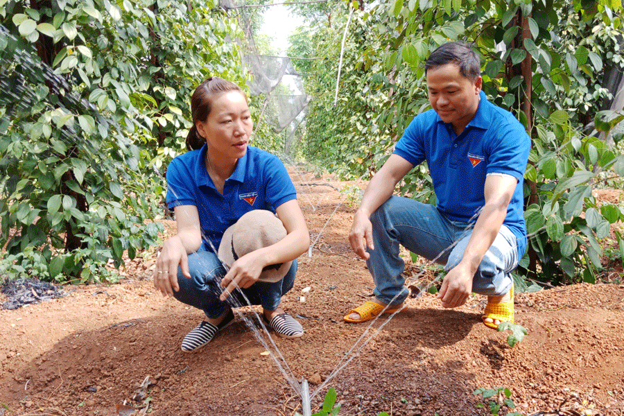 Anh Nhường giới thiệu mô hình tưới tiết kiệm nước. Ảnh: L.T