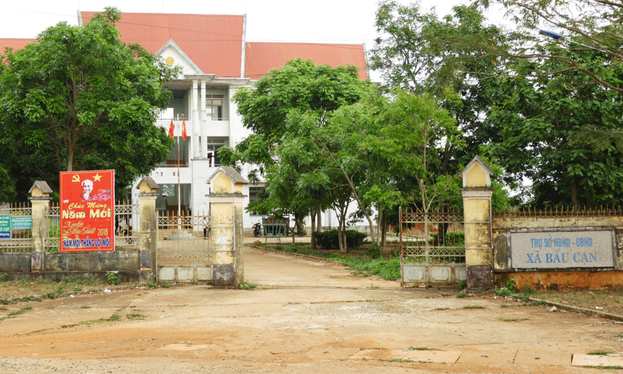 Ảnh: T.N Ảnh: T.N