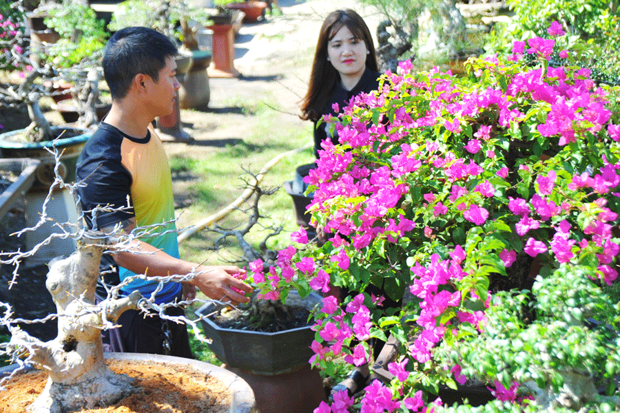 Huyện Chư Sê đã phân rõ trách nhiệm của các ngành, đơn vị trong việc tổ chức chợ hoa Xuân Mậu Tuất 2018. Ảnh: Q.H Huyện Chư Sê đã phân rõ trách nhiệm của các ngành, đơn vị trong việc tổ chức chợ hoa Xuân Mậu Tuất 2018. Ảnh: Q.H