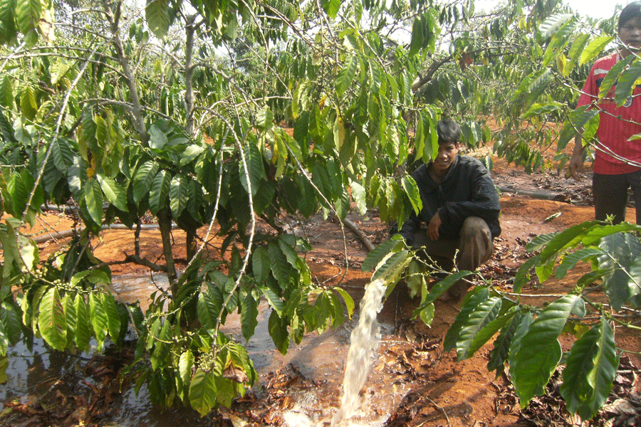 Ảnh: N.S Ảnh: N.S