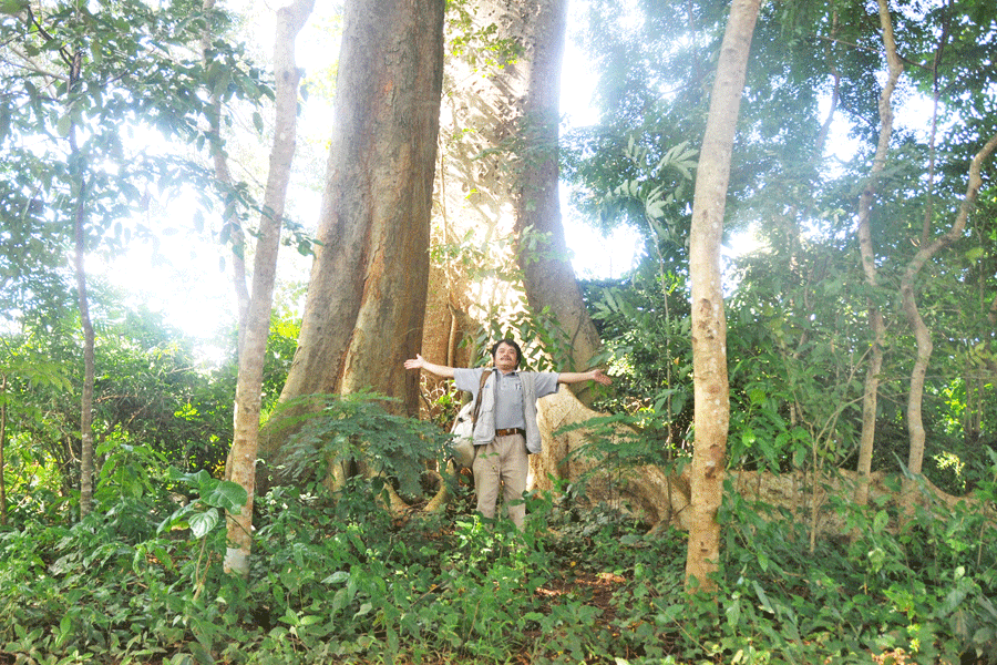 Tác giả dưới gốc cây M’nút trong rừng. Ảnh: N.H.T
