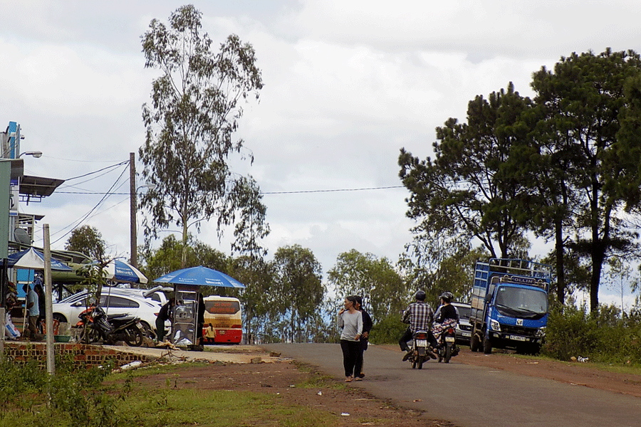 Sẽ thanh tra việc phân lô, bán nền khu vực rừng thông cầu Phan Đình Phùng thuộc xã Ia Der, huyện Ia Grai. Ảnh: L.T