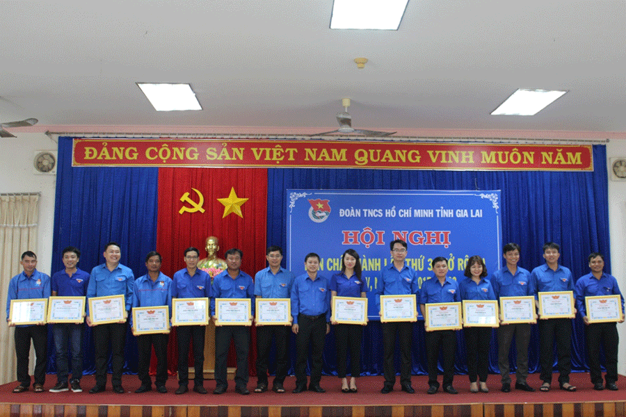 Ảnh: T.B Ảnh: T.B