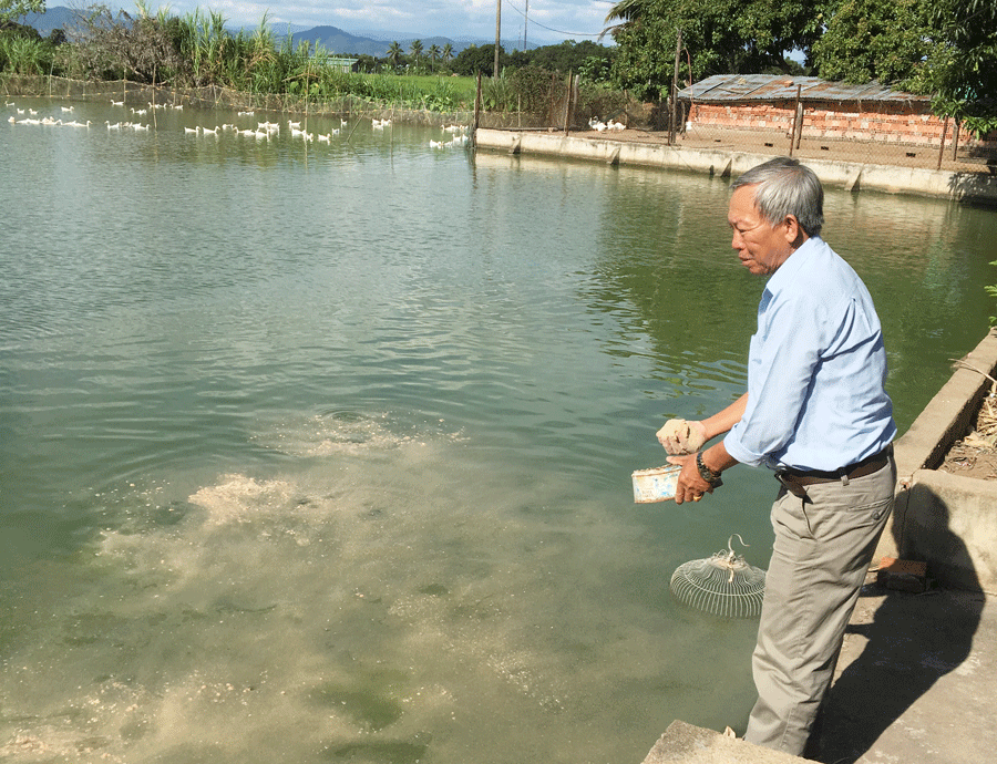 Ông Nguyễn Văn Hồng-một trong những cựu chiến binh sản xuất kinh doanh giỏi có mức thu nhập 100-200 triệu đồng/năm. Ảnh: B.H