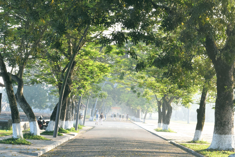 Ảnh minh họa Ảnh minh họa