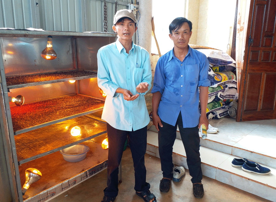 Anh Trần Quang Sơn (trái) bên máy sấy hồ tiêu. Ảnh: N.S