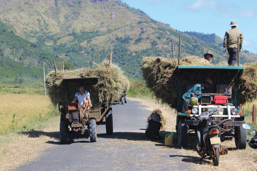 Nông dân trên địa bàn tỉnh thu hoạch lúa Đông Xuân. Ảnh: N.D Nông dân trên địa bàn tỉnh thu hoạch lúa Đông Xuân. Ảnh: N.D