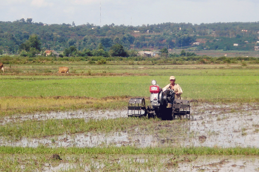 Người dân Krông Pa làm đất để gieo trồng vụ mùa. Ảnh: L.N Người dân Krông Pa làm đất để gieo trồng vụ mùa. Ảnh: L.N