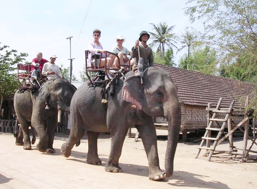  Làng voi Nhơn Hòa ngày trước. Ảnh: internet