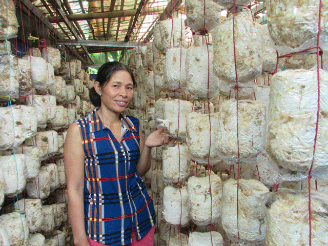 "Đối với trồng nấm, khi làm cần phải yêu nghề, chịu khó mới duy trì được lâu. Từ làm nấm, đời sống kinh tế gia đình ổn định, không thiếu hụt như hồi xưa... ", chị Huệ chia sẻ.