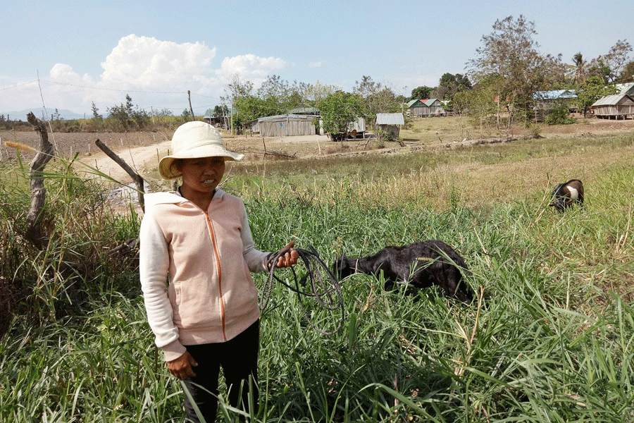 Chị Đinh Thị Trem (xã Yang Trung, huyện Kông Chro) được hỗ trợ 2 con dê giống. Ảnh: P.L