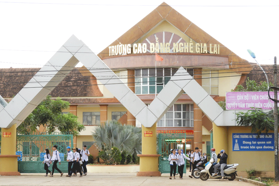 Ảnh: T.N Ảnh: T.N