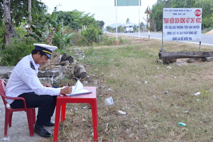 Cán bộ Trạm kiểm dịch động vật Chư Ngọc tổ chức trực kiểm dịch động vật vận chuyển vào tỉnh. Ảnh: L.N Cán bộ Trạm kiểm dịch động vật Chư Ngọc tổ chức trực kiểm dịch động vật vận chuyển vào tỉnh. Ảnh: L.N