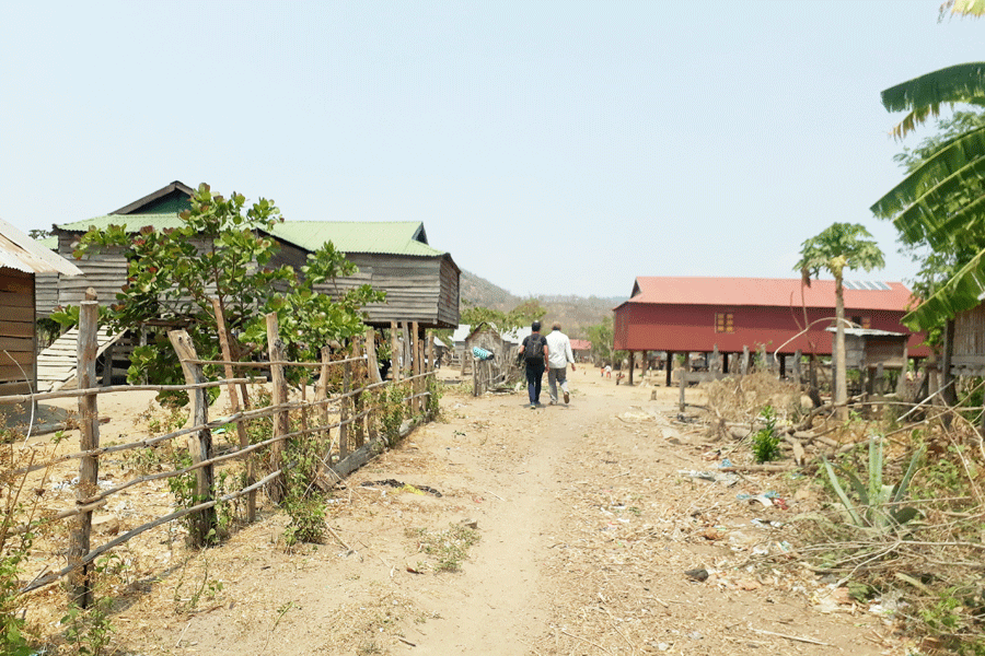 Ảnh: N.T Ảnh: N.T