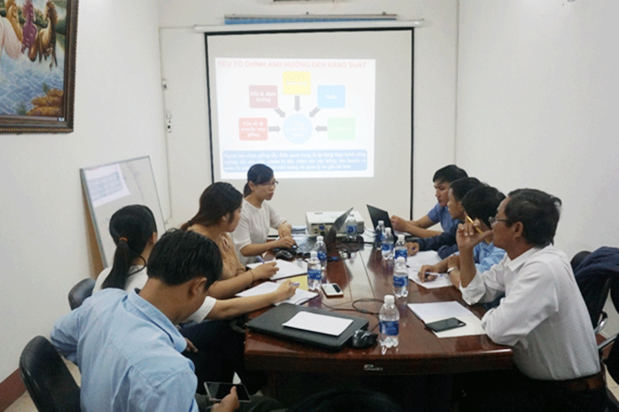 Đào tạo quy trình canh tác mía của Phòng Kỹ thuật Nông nghiệp. Ảnh: H.M Đào tạo quy trình canh tác mía của Phòng Kỹ thuật Nông nghiệp. Ảnh: H.M