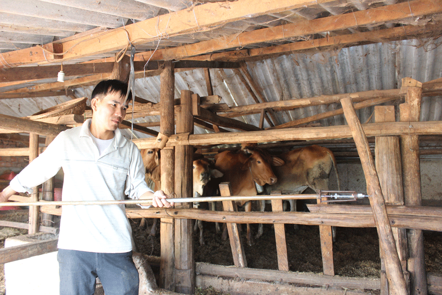 Ảnh: Nguyễn Diệp Ảnh: Nguyễn Diệp