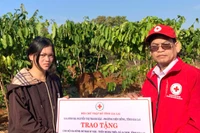 Hội Chữ thập đỏ tỉnh Gia Lai bàn giao bò giống cho hộ nghèo