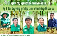 Bàn tay vàng giữ nhịp xanh trên những đồi cao su