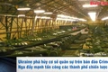 Tin thế giới 20h 20-5: Ukraine phá hủy cơ sở quân sự trên bán đảo Crimea, Nga đẩy mạnh tấn công các thành phố chiến lược 