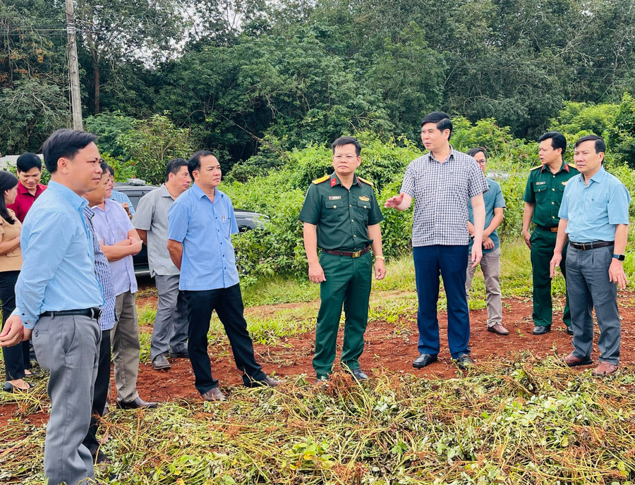 Phó Chủ tịch UBND tỉnh Lâm Hải Giang (thứ 3 từ phải sang) kiểm tra thực tế vị trí xây dựng Trường Phổ thông nội trú liên cấp Tiểu học và THCS xã Ia Nan. Ảnh: P.D z7153627733901-2e3de75306135917edff14822eda8343.jpg