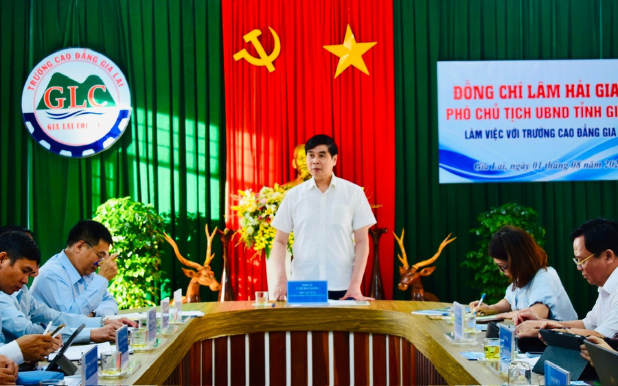Phó Chủ tịch UBND tỉnh Lâm Hải Giang phát biểu tại buổi làm việc. Ảnh: A.H hinh-6.jpg