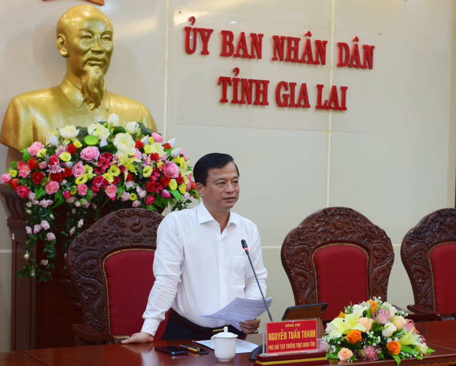 Phó Chủ tịch Thường trực UBND tỉnh Nguyễn Tuấn Thanh phát biểu chỉ đạo tại buổi làm việc. Ảnh: A.H dsc-0136.jpg