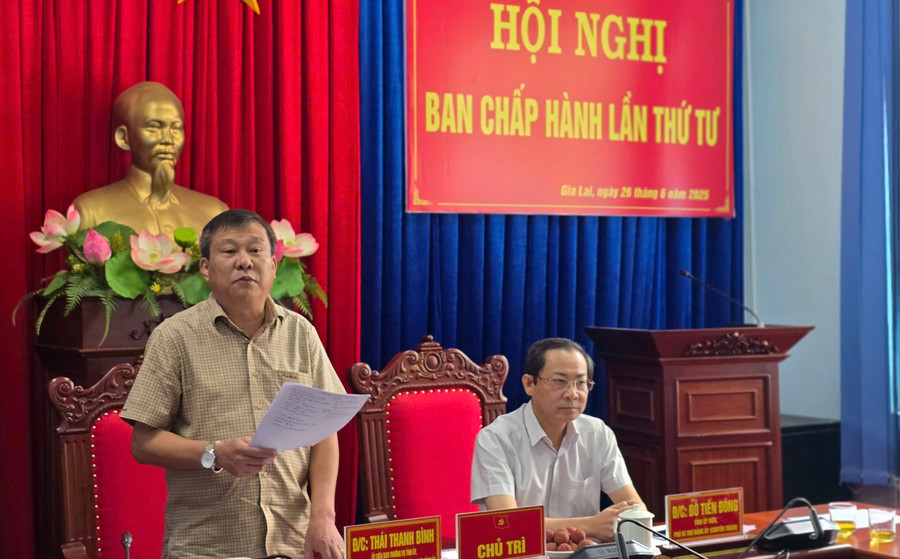 タイ・タン・ビン同志が会議で演説する。写真:A.H z6743033967058-384abcdcdf6a1cb5bdc0af9fc04adb2d.jpg