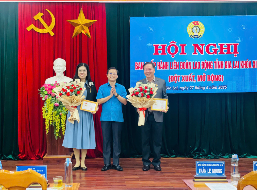 Liên đoàn Lao động tỉnh trao tặng Kỷ niệm chương tỉnh Gia Lai cho các đồng chí đã có đóng góp vào quá trình phát triển của tỉnh Gia Lai. Ảnh: Thúy Diện ldld-tinh-da-trao-tang-ky-niem-chuong-tinh-gia-lai-cho-cac-dong-chi-da-co-dong-gop-vao-qua-trinh-phat-trien-cua-tinh-gia-lai.jpg