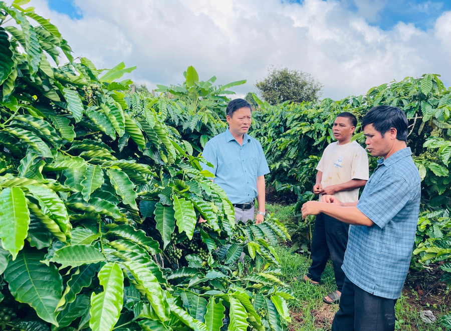 Người dân trong làng tích cực học hỏi kinh nghiệm, triển khai các mô hình sản xuất hiệu quả. Ảnh: A.H z7014193867097-befccef93a090c2774a395e550dba12d.jpg