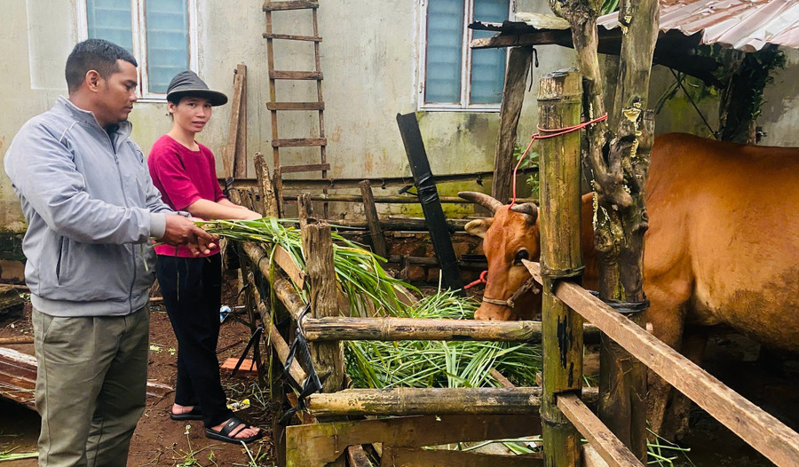 Trưởng Kpă Nông giới thiệu mô hình phát triển kinh tế của người dân. Ảnh: A.H anh-kpa-nong-truong-lang-nu-bia-trai-gioi-thieu-ve-mo-hinh-phat-trien-kinh-te-cua-nguoi-dan-trong-lang.jpg