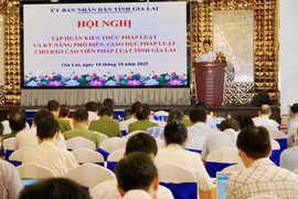 Quang cảnh buổi tập huấn kiến thức pháp luật và kỹ năng phổ biến, giáo dục pháp luật cho hơn 350 báo cáo viên cấp tỉnh.