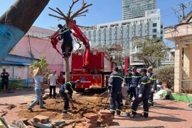 Cảnh sát PCCC&CNCH hỗ trợ trồng cây xanh tại các trường học sau bão số 13.