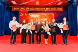 Đảng bộ phường Diên Hồng tiếp nhận tổ chức đảng và đảng viên