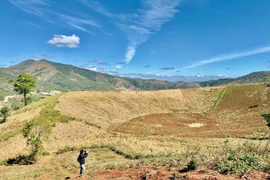 Vẻ đẹp mùa khô trên núi Chư Đang Ya