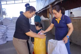 Phường Hội Phú: Cấp phát gạo cho 401 hộ có hoàn cảnh khó khăn dịp Tết Nguyên đán Bính Ngọ