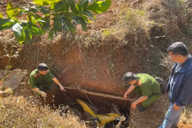Công an Gia Lai thông báo treo thưởng cho người cung cấp thông tin liên quan đến vụ cướp ngân hàng