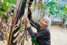 Ngày Xuân về Hoài Nhơn nghe bà Tiết 105 tuổi hát bài chòi