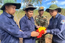 Đội K52 - tìm kiếm, quy tập được 11 hài cốt liệt sĩ tại Campuchia