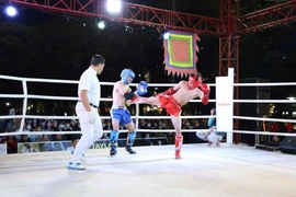 Hấp dẫn “Đêm Võ đài Bình Định - Mừng Xuân Bính Ngọ 2026”